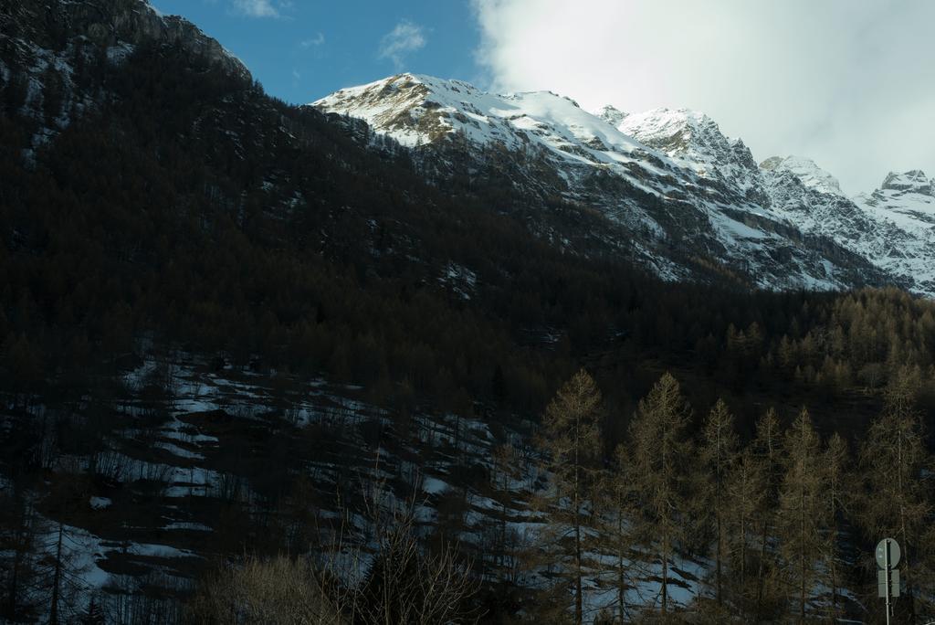 Hotel Etoile De Neige Valtournenche Exterior foto